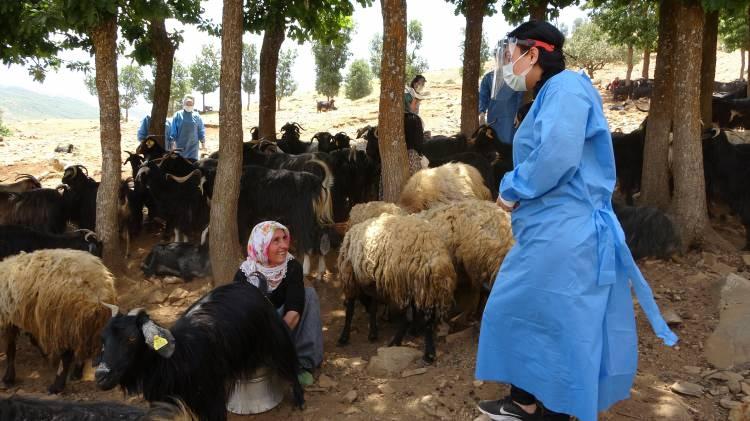 <p>Aşı hizmetini elimizden geldiği kadar her yere ulaştırmaya çalışıyoruz. Gerekirse vatandaşın kapısına kadar, evlerine kadar, yaylalarına kadar gidiyoruz. </p>
