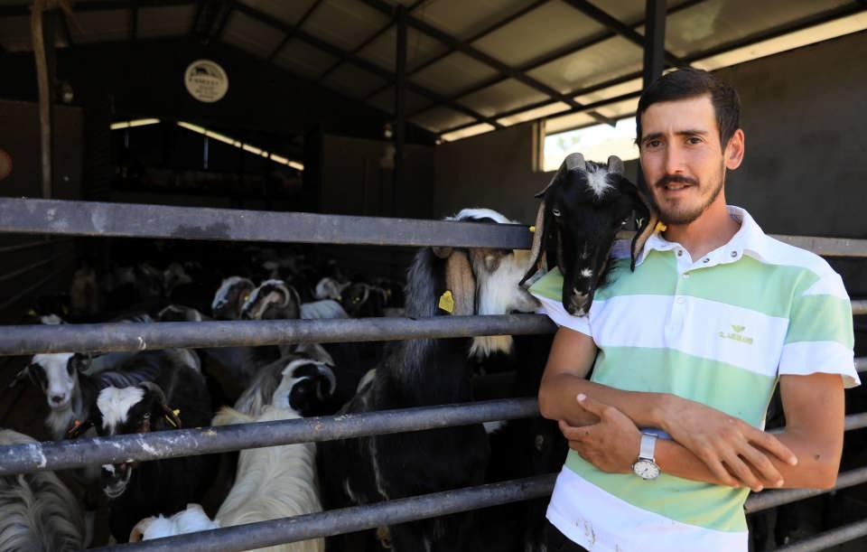 <p>Antalya'da Tayfun Caner (29), 10 yıl boyunca çalıştığı turizm sektörünü bırakarak, 20 Honamlı keçisiyle hayvancılığa başladı. Kısa sürede 200 keçilik çiftliğe sahip olan Caner, "Yılda 500 kilogram peynir elde ediyorum. </p>
