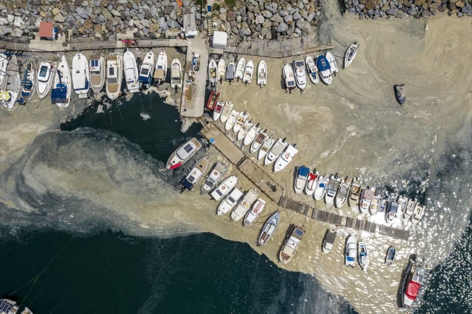 <p>Marmara Denizi kıyılarını kaplayan, halk arasında "deniz salyası" olarak da bilinen "müsilaj", Küçükyalı Sahilinde etkisini yer yer sürdürüyor.</p>
<p> </p>