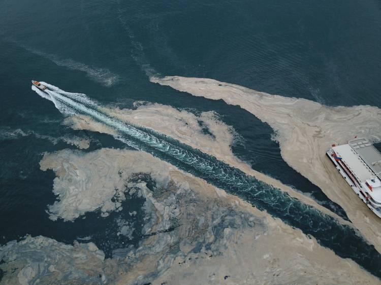 <p>Marmara Denizi'nin aylardır kabusu olan müsilaj ile mücadelede, 8 Haziran'da uygulanmaya başlanan Marmara Denizi Eylem Planı'nın etkisi gözle görülür derecede hissedilmeye başlandı. </p>