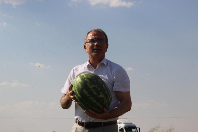 <p>Diyarbakır karpuzunun dünyaca ünlü olduğuna dikkat çeken Atalar, "Dünyaca ünlü olan bu karpuz Diyarbakır'da iki çeşit halinde yetiştirilmektedir. Biri Diyarbakır çeşitleri dediğimiz yerel, diğeri ise ticari olarak dediğimizdir. </p>
