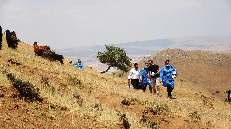 <p><strong>“Yaklaşık 2 kilometre patika yolu yürüyerek aşıyı vatandaşımıza ulaştırdılar”</strong><br />
<br />
Yerkaya Köyü Muhtarı Cengiz Kurdaş da köye gelen sağlık ekibinin evleri tek tek dolaştığını ve o sırada evlerde kimseyi bulamadıklarını işaret ederek, “Vatandaşları evlerinde bulamayınca ‘neredeler’ diye bize sordular. </p>
