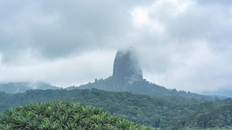 <p><strong>Sao Tome ve Principe</strong><br />
<br />
Afrika'nın en batısında bir ada ülkesi olan Sao Tome ve Principe, neredeyse dünyadaki hiçbir ülkeye vize uygulamamakta. Buna rağmen bu küçük ada ülkesi, ulaşımın zorluğu, kısıtlı imkanlar ve konaklama tesisi yetersizliğinden ötürü çok az sayıda yabancı ziyaretçi ağırlıyor. Ülke, Türk vatandaşlarından vize talep etmiyor.</p>
