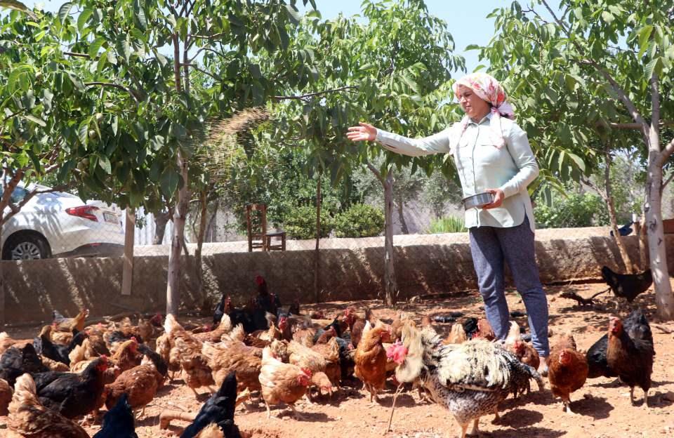 <p> Bunun üzerine beslediği 110 tavuğu satma kararı alan Gedik, "Ağacın suyu getireceğine inanıyorum. En büyük hayalim bu. Ağaçları korumamız yetmiyor. Nasıl ki yeni çocuklar doğuyorsa yetişiyorsa yeni ağaçların da dikilmesi gerekiyor. Daha çok orman olması, çocukların mutlu olması anlamına gelir" dedi.</p>
<p> </p>