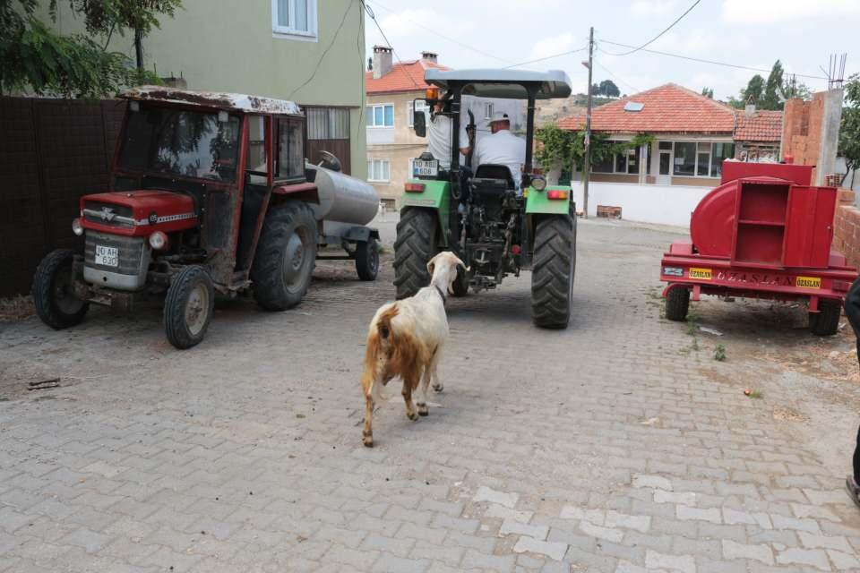 <p>Bayırda benim bir arkadaşım gibi yanımda duruyor. Bayırda sürü yayılınca keçimiz mutlaka beni arar ve beni buluncaya kadar meler” diye konuştu.</p>

<p> </p>
