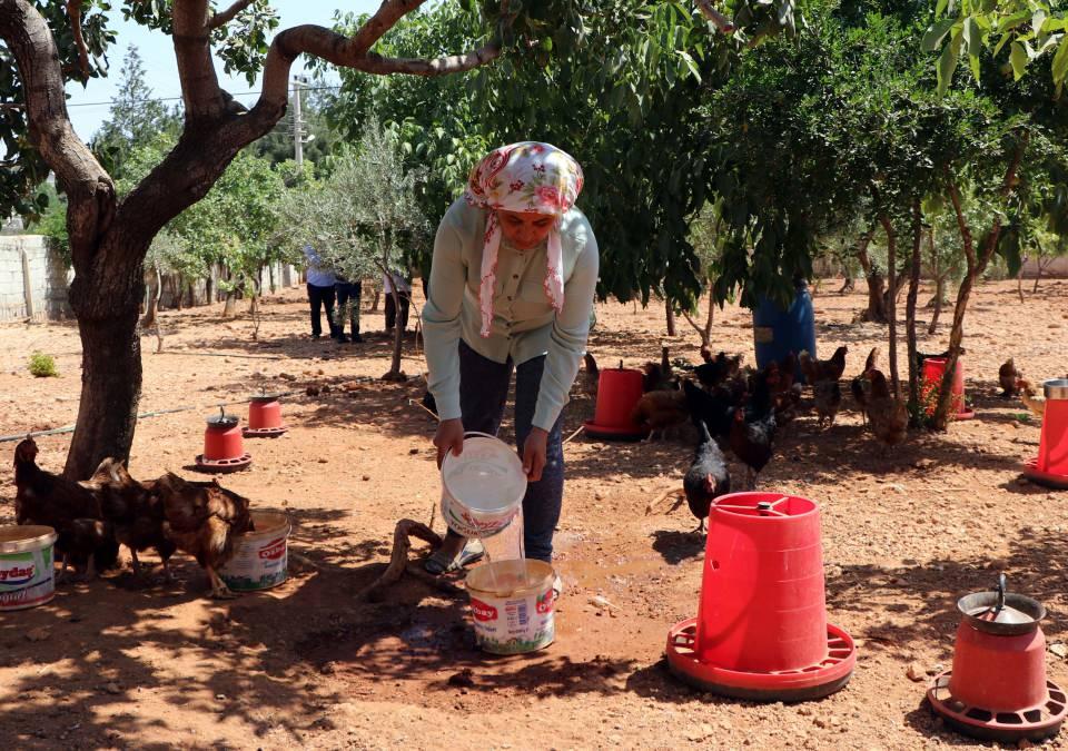 <p> Tavuklarımız var ve şimdi tavukları hatıra ormanı yapmak için satmak istiyoruz. Ağacın suyu getireceğine inanıyorum. En büyük hayalim bu. Çocuklara ve gençlere bu durumun örnek olmasını istiyorum. Ağaçları korumamız yetmiyor. Nasıl ki yeni çocuklar doğuyorsa yetişiyorsa yeni ağaçların da dikilmesi gerekiyor. Daha çok orman olması çocukların mutlu olması anlamına gelir" dedi.</p>
<p> </p>