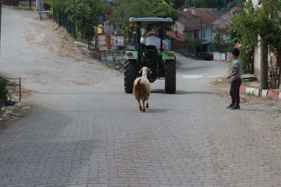 <p>Böylelikle sütleri çok oluyor ve oğlakların yetişmesi için annelerine yem yediriyoruz. Ondan sonra 3 aylık olan oğlakları kasaba vererek kestiriyoruz. </p>
