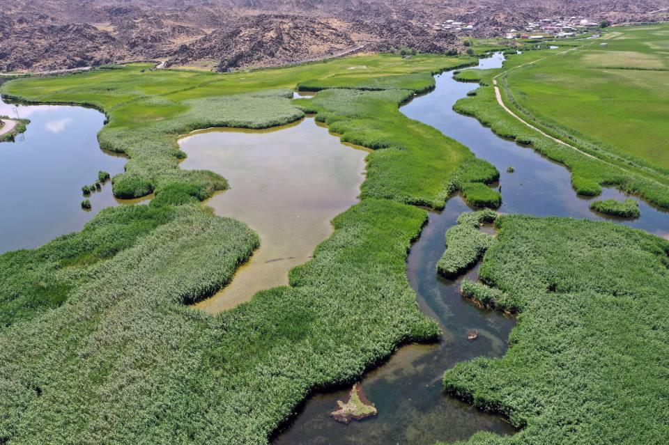 <p>Flora ve fauna zenginliğiyle bilinen milli parkta birçok sürüngen, kuş, yırtıcı ve memeli türü yaşam alanı bulurken, suların geçtiği bölgelerde de görülmeye değer güzel manzaralar oluşuyor.<br />
</p>