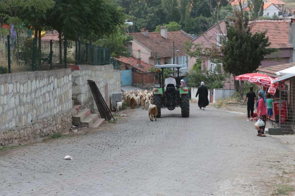 <p>Yani küçükbaş hayvancılığın geliri çok iyi oluyor, büyükbaş hayvancılıktan iyidir. </p>
