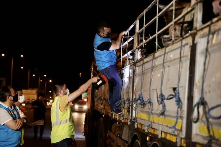 <p>Büyükbaş hayvanların kente getirilmesine izin verilmeye başlandığı günün ilk saatlerinden itibaren Anadolu yakasında Kuzey Marmara Otoyolu girişleri Mecidiye gişeleri denetim noktasında, Kuzey Marmara Otoyolu çıkış gişeleri ve Fatih Sultan Mehmet Köprüsü girişinde İl Tarım ve Orman Müdürlüğü ekiplerince kontroller sıklaştırıldı.</p>

<p> </p>
