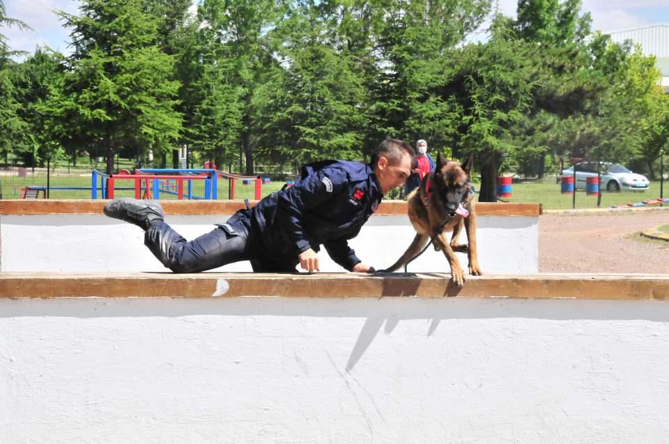 <p>Yarışmada, Jandarma Uzman Çavuş Caner Üçgül'ün uyuşturucu madde arama köpeği birinci, Jandarma Uzman Çavuş Rıdvan Özer'in mayın arama köpeği ikinci, Jandarma Uzman Çavuş Mücahit Saraçlı'nın mayın arama köpeği ise üçüncü oldu.</p>
<p> </p>