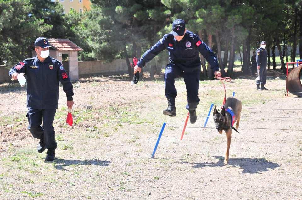 <p>JAKEM Komutanlığı'nda, eğitimli 19 köpek hazırlanan parkurlarda sorumluları eşliğinde yarıştı. </p>