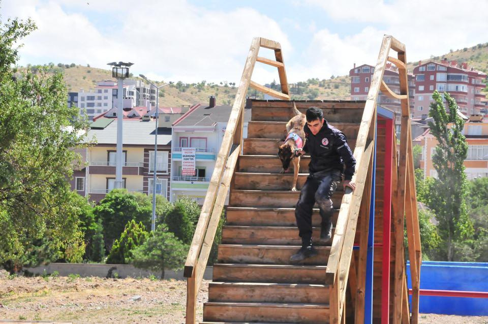 <p>JAKEM Komutanı Jandarma Albay Ercan Altın, "9 branşta 19 köpeğimiz ve sorumluları yarıştılar.</p>