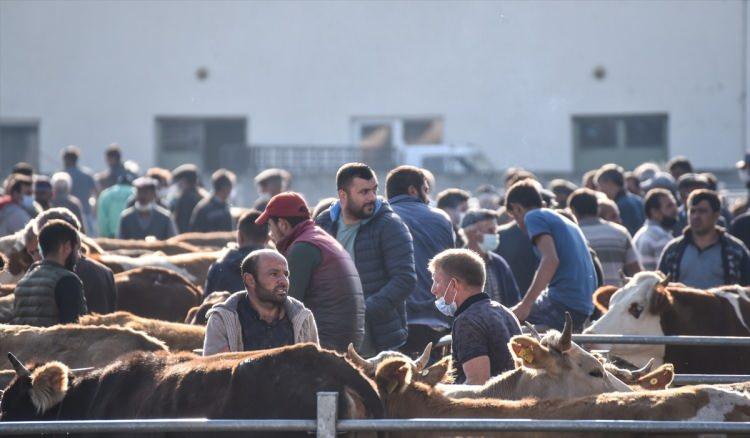 <p>Yakup Söylemez ise hayvanlarının bir kısmını sattıklarını diğerlerini de zarar etmeden satmak için bekleyişlerinin sürdüğünü anlattı.</p>
