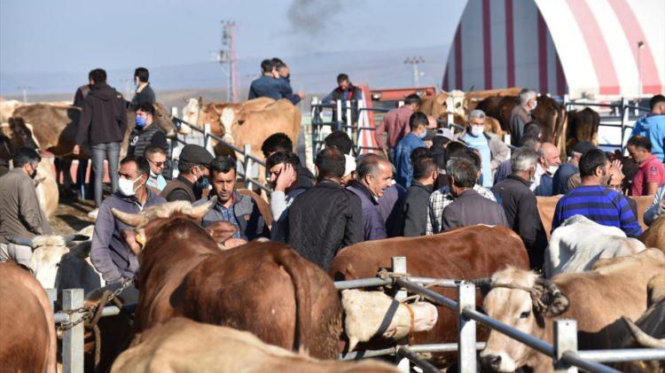 <p>Kentin Dikme köyünden Vahit Yılmazer de Kurban Bayramı için yetiştirdiği kurbanlıkları pazara getirdiğini, alıcı bulmak için gayret gösterdiklerini söyledi.</p>