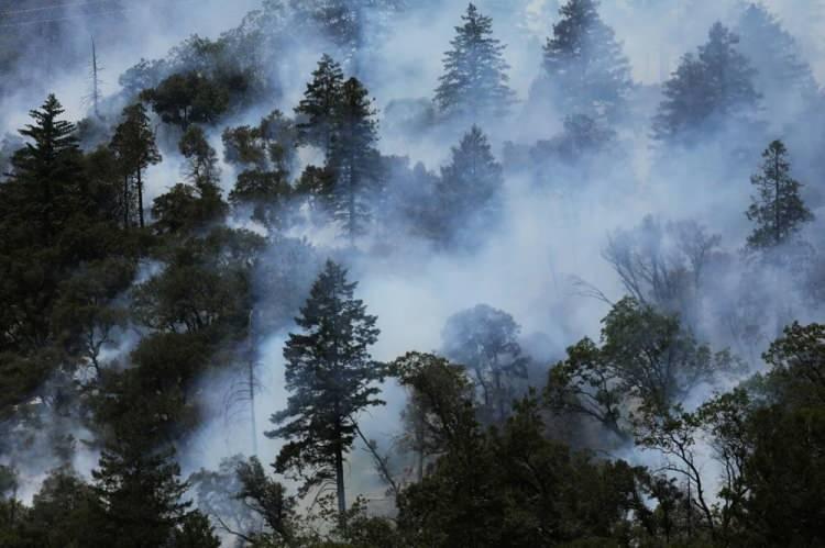 <p>Karayoluna da sıçrayan alevler Alpine County Havaalanına doğru ilerliyor.<br />
</p>