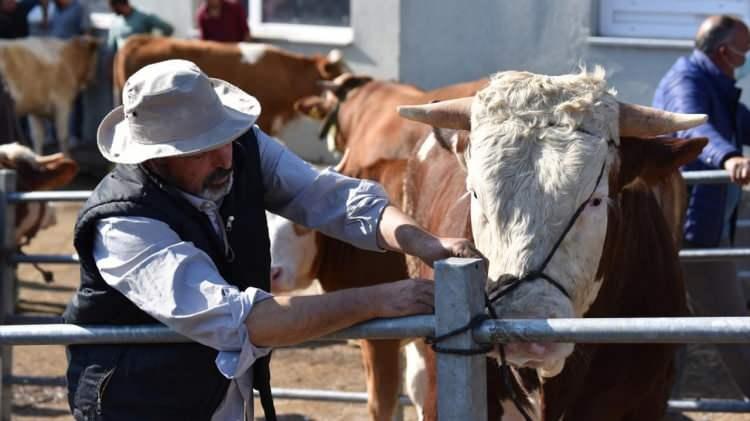 <p>Kars</p>
<p>Karslı besicilerden Serkan Karadeniz ise bölgedeki illerin Selim Canlı Hayvan Pazarı`na akın ettiğini, bu durumun önceki yıllara göre normal olduğunu ancak bayram yaklaştıkça yoğunluğun arttığını belirtti.</p>