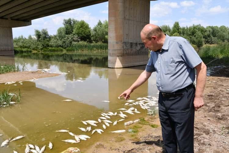 <p>Balık ölümlerine, aniden artan hava sıcaklıklarına bağlı sudaki oksijen yetersizliğinin yol açtığına dikkati çeken Akdağ, "Yaz aylarında özellikle temmuz ve ağustos aylarında hava sıcaklığının artmasına bağlı debinin azaldığını görüyoruz.</p>
