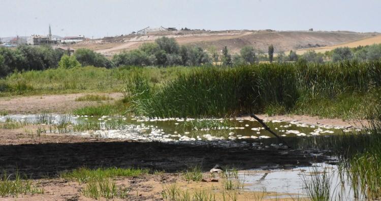 <p>Türkiye'nin en uzun nehri olan Kızılırmak'ın Sivas merkezden geçen bölümlerindeki balık ölümleri arttı.</p>

<p> </p>
