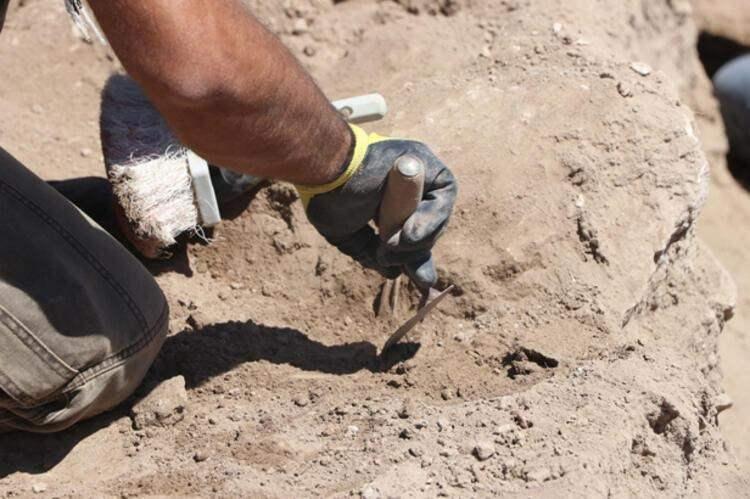 <p>KAZILAR ARALIKSIZ DEVAM EDİYOR </p>
<p>Zerzevan kalesi, Türkiye’de kazıların 12 ay boyunca devam ettiği 20 arkeolojik bölge arasında yer alıyor. Kültür ve Turizm Bakanlığı ve Dicle Üniversitesi’nin işbirliği ile kazı - restorasyon çalışmaları, Türk Tarih Kurumu, Diyarbakır Valiliği, Büyükşehir Belediyesi, Çınar Kaymakamlığı, İşkur, Karacadağ Kalkınma Ajansı, Gap Bölge Kalkınma İdaresi tarafından destekleniyor. Özel sektör kuruluşu Safir Tuz da çalışmalara çok önemli katkı sunuyor.</p>