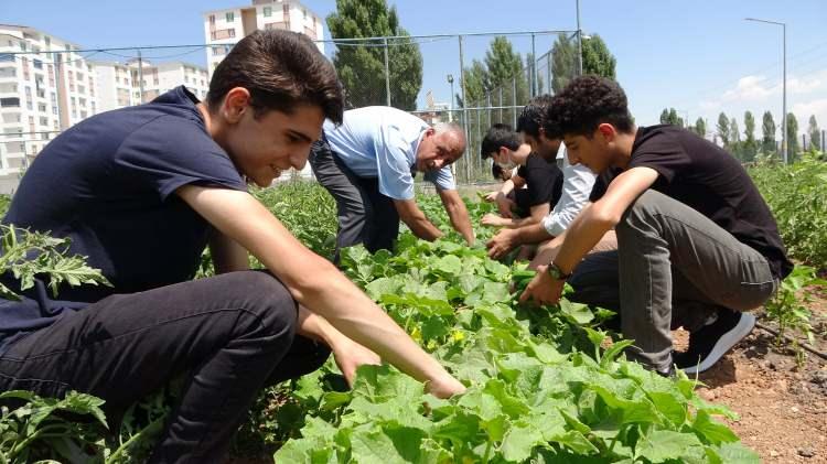 <p>Buraya 25 kamyondan fazla toprak getirdik ve bu işten anlayan öğrencilerimiz burada çapalama yapıp ekime başladılar. Anlayan öğrencilerimizin öncülüğünde bu bahçenin oluşturulması güzel bir şey. Bunun dışında hayatında hiç bahçe görmeyen öğrencilerimizde buradan faydalandılar ve ilk defa öğrenmiş oldular” ifadelerini kullandı.</p>
