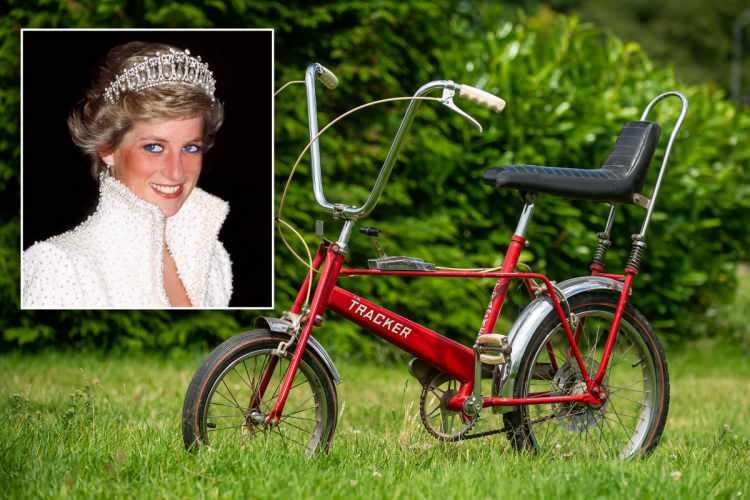 <p><span style="color:#EE82EE"><strong>36 yaşındayken geçirdiği trajik trafik kazası sonucu hayatını kaybeden Diana, 1970’li yıllarda ailesinin Northamptonshire’daki malikanesinde kullandığı chopper tarzı kırmızı bisikleti açık artırmaya çıkarılmasıan karar verildi. </strong></span></p>
