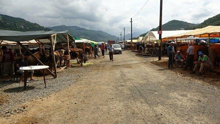 <p>Pazarda en kilolu ve en pahalı boğayı sattığını belirten Şişman, "Pazarın en kilolu hayvanı burada. Yaklaşık 1 ton ağırlığında şimdilik satamadık. Fiyatı 22 bin TL alıcısını bekliyoruz. Bu pazarda bundan pahalı ve kilolusunu henüz görmedim. Bakımı çok zor günlük masrafı 50 TL'yi buluyor" şeklinde konuştu.</p>