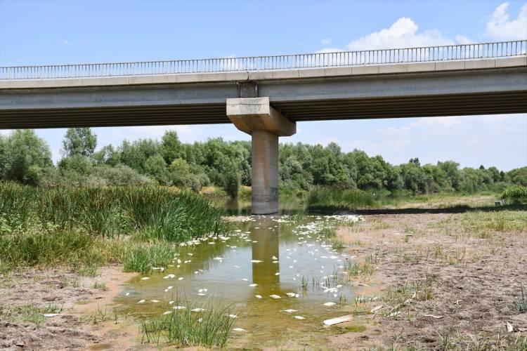 <p>"Herhangi bir zehirlenme belirtisi yok"</p>
<p>İlgili numunelerin Ankara'daki Etlik Veteriner Araştırma Enstitüsü Müdürlüğüne gönderildiğini ve herhangi bir zehirlenme belirtisi olmadığının anlaşıldığını söyleyen Akdağ, "Keza su numunesi de yine Çevre ve Şehircilik İl Müdürlüğümüz, DSİ vasıtasıyla inceledi, onda da olumsuz bir sonuç gözlenmedi" dedi.</p>