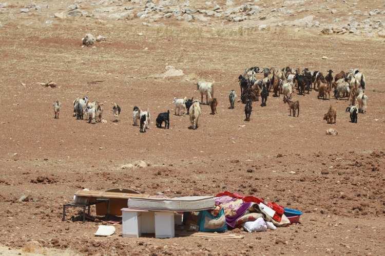 <p>İsrail askerlerinin yıkımı sonucu barınaklarını kaybeden bedevi aileler, kavurucu yaz sıcağında ortada kaldı.</p>
