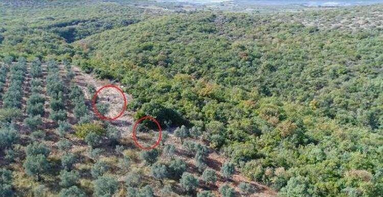 <p>30 DRONe İLE TESPİT</p>
<p>Doğa Koruma ve Milli Parklar Genel Müdürlüğü Av Yönetimi Daire Başkanı Mustafa Tuğrul Şahin, DHA'ya 'drone'ların kaçak avcılarla mücadeledeki önemini anlattı.</p>