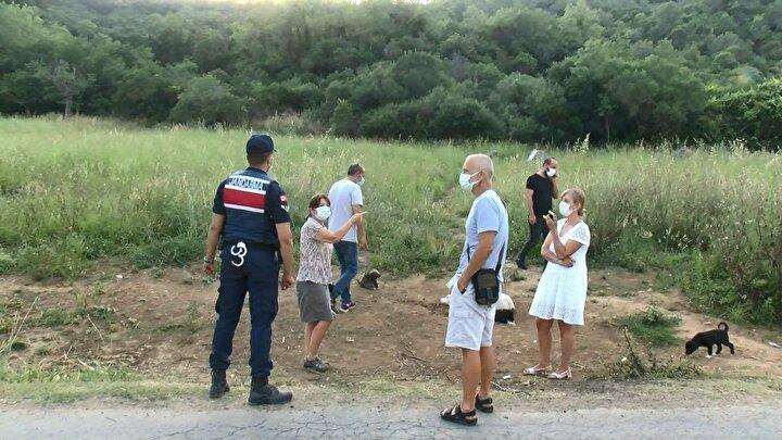 <p>Değerlendirilmesi için jandarmaya haber verdim. Çok üzücü, bir insanın böyle bir şey yapmış olması inanılır gibi değil. Bu yol bizim yürüdüğümüz, gezdiğimiz yol. Yalnız gezen gençler, küçükler de oluyor. Onlar için de çok büyük bir tehlike. Şimdi geriye 13 tane yavru var daha gece burada nöbet tutmak gerekecek. Görünen manzara dayanılır gibi değil gerçekten" şeklinde konuştu.</p>