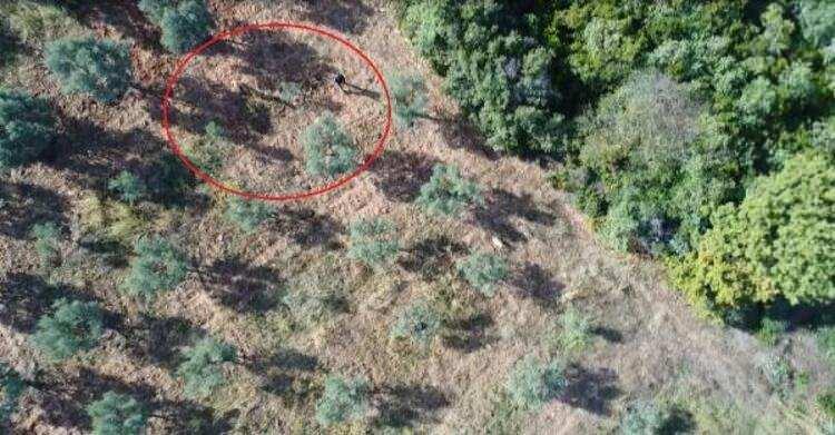 <p>Şahin, "Doğa Koruma ve Milli Parklar Genel Müdürlüğü olarak ülkemizin av ve yaban hayatının kaynaklarını gelecek nesillere taşımak için personelimizle birlikte gece gündüz koruma faaliyeti yapıyoruz. Teknolojinin bize sunduğu birtakım imkanlardan da faydalanmak istiyoruz. </p>
