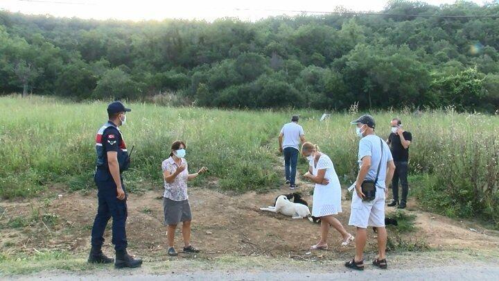 <p>Yavru köpeği tamamen yanmış ve sadece kemikleri kalmış halde gören Cengiz Kıyılar jandarmaya ve Sarıyer Belediyesi Veterinerlik İşleri Müdürlüğü'ne haber verdi. Jandarma ekipleri olay yerinde incelemelerde bulundu. Çevredeki güvenlik kameralarını incelemeye alan jandarma ekipleri, olayı gerçekleştirenleri yakalamak için çalışma başlattı.</p>