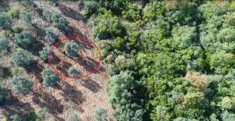 <p>Son olarak Bursa'nın İznik ilçesinde kaçak avlanan 2 kişi drone ile tespit edildi. Drone ile havadan uzun süre takip edilerek yerleri tespit edilen avcılar, Doğa Koruma ve Milli Parklar Genel Müdürlüğü ile jandarma ekipleri tarafından yakalandı. Avcılara para cezası uygulandı.</p>

<p> </p>

