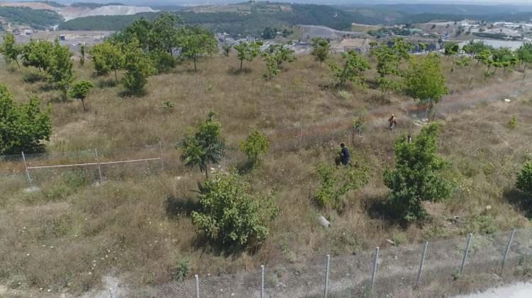 <p>Uzun uğraşlar sonunda keçiyi Medeni Ermiş (23) isimi genç yakalamayı başardı. 3 akrabasının peşinden koştuğu keçiyi boynuzundan tutarak yakalayan Ermiş, "<br />
 </p>
