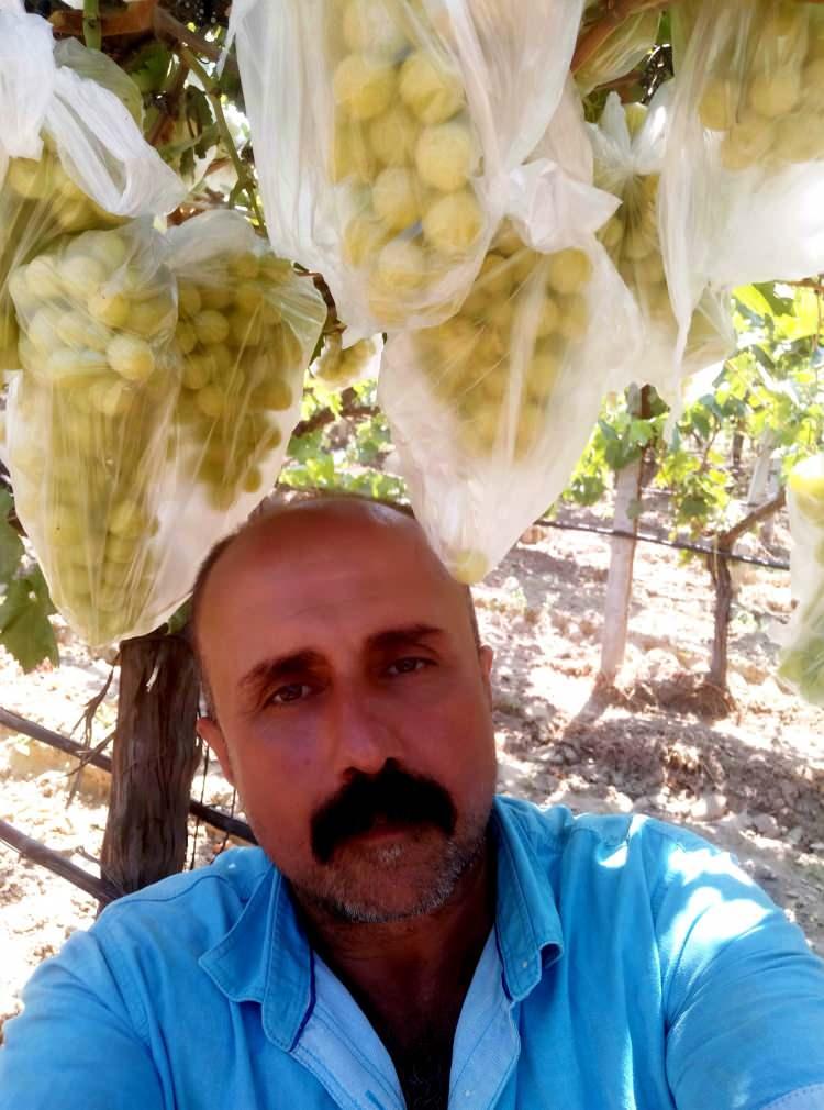<p>Üretici Sarıtaş, olgunlaşan üzümlerin çok çabuk çatladığını ve çocukları gibi değer verdiğini, ürünlerini korumak için böyle bir yola başvurduğunu söyledi. Bunun bir deneme olduğunu dile getiren Sarıtaş, olumlu cevap aldığı takdirde diğer çiftçilere de örnek olarak katkı sağlamak isteğini ifade etti. Çiftçilerin bu sene ayaz zararı sebebiyle ürünlerinde ciddi kaybı olduğunu kaydeden Sarıtaş, bu tür bir önlemle azda olsa olan ürününü korumak isteğini bildirdi.</p>