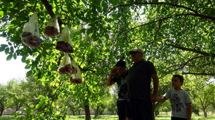 <p>Van'ın Erciş ilçesinde Ömer Faruk Demir (48), kestiği 2 kurbanın etlerini poşetlere koyup, ihtiyaç sahiplerinin alması için evinin bahçesindeki ağaca astı. </p>

