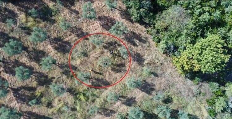 <p>'GÖZ AÇTIRMIYOR'</p>
<p>Av Yönetimi Daire Başkanı Şahin, özellikle dağlık alanlarda drone ile tespit edilen kaçak avcılara sonrasında ekiplerin ulaşmaya çalıştığını belirterek, "Kaçak avcılar tespit edildikten sonra, kendi personelimiz de o avcılara ulaşmaya çalışıyor. </p>