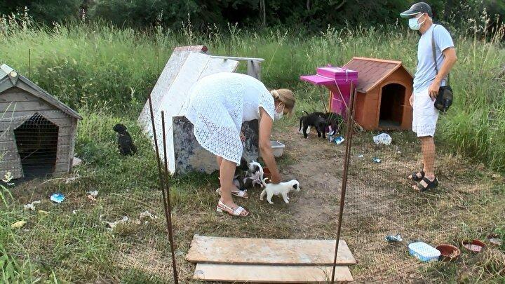 <p>Hayvan sever Aysugül Kara ise; "Küçücük bebek, daha bir aylık, anne sütü emen el kadar yavru bir köpeği cayır cayır ateşe atıp yakabilecek insan demeye benim dilim varmıyor, insanlık dışı bir hareket. Bu konuda en büyük yetki sahibi olan kişilerden acilen duyarlılık bekliyorum. Acilen bu olayın takip edilip, suçluların bulunmasını, buna benzer olaylar varsa lütfen halkımızın duyuru yapmasını, bu tür kişilerin toplumumuzdan ayıklanıp temizlenmesi lazım" şeklinde konuştu</p>
