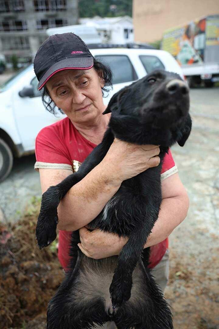 <p>Arhavi ilçesinde belediyeye ait barınağı su bastı. Görevlilerin kapıları açarak köpekleri bırakmasına rağmen bazı köpekler sele kapıldı. Arhavi Sokak Hayvanlarını Koruma Derneği üyeleri, barınaktaki 25 köpeği kurtarmayı başardı.</p>