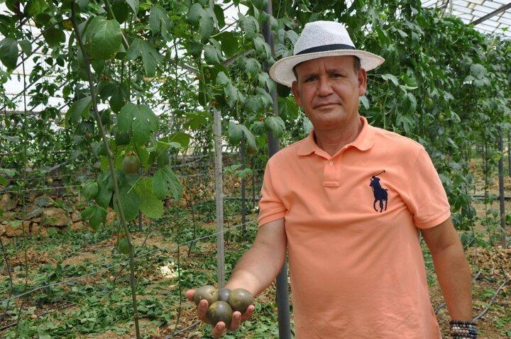 <p>PASSİFLORANIN FAYDALARI<br />
<br />
Passiflora meyvesi antioksidan görevi görmenin yanında kilo vermeye yardımcı olduğu, depresyona ve strese iyi geldiği, uykusuzluğu giderdiği, serotonin hormonunun yükselmesine yardımcı olduğu, göz sağlığını koruduğu, bağışıklığı güçlendirdiği, kolesterol ve trigliseritleri düşürmeye yardımcı olduğu biliniyor.</p>