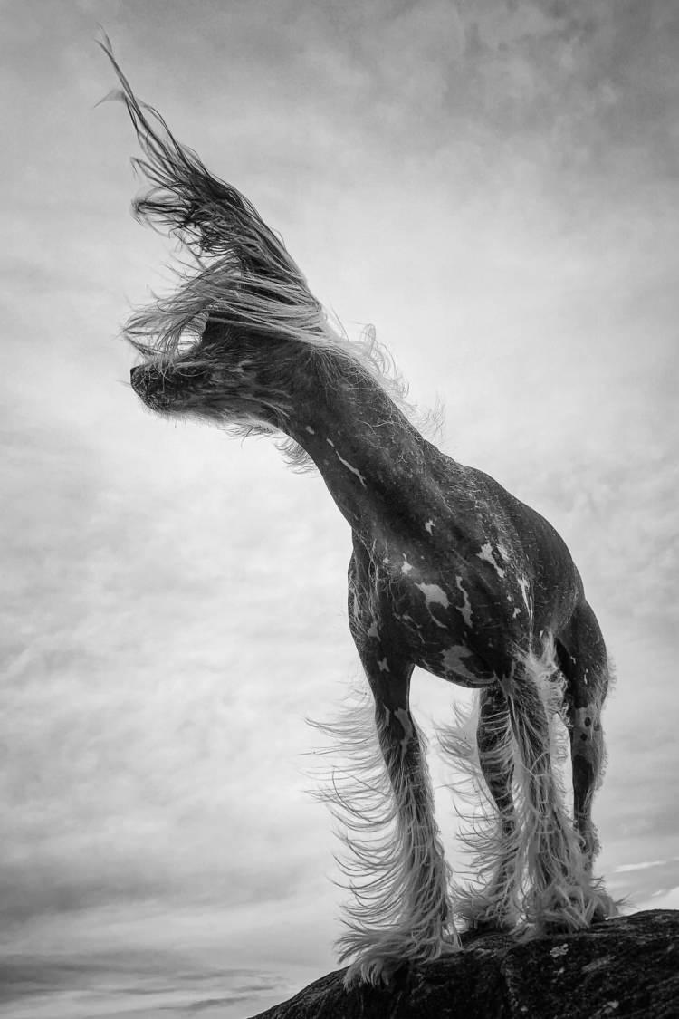 <p>Theresa Lee - iPhone XR</p>