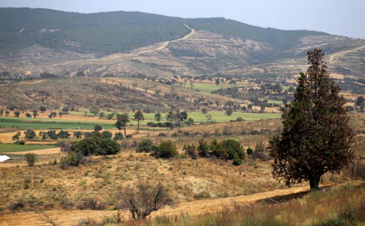 <p>Gelecek baharla birlikte fidanların boy atarak bölgenin kurak bir görüntüden kurtulup eskisi gibi yemyeşil olması bekleniyor.</p>
