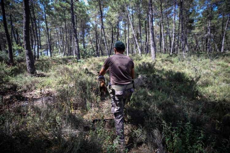 <p> Maltepe Başıbüyük Ormanı'nda Özel Harekat Şube Müdürlüğü, Atlı Polis Grup Amirliği ve Önleyici Hizmetler Şube Müdürlüğüne bağlı ekipler arama, tarama ve güvenlik faaliyeti gerçekleştirdi.</p>
