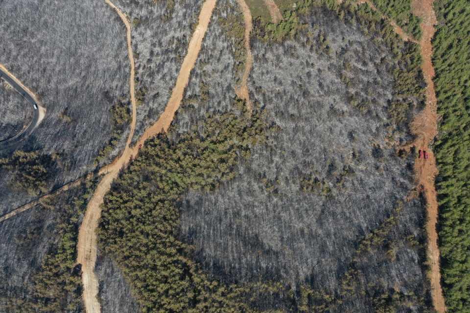 Milas'taki yangında zarar gören 80 hektarlık ormanlık alan havadan görüntülendi