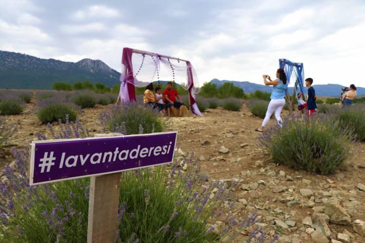 <div>Esin Çiftçi de lavanta bahçelerini merak ettiği için geldiğini belirterek, "Lavanta Deresi gerçekten görmeye değer bir yer, herkese tavsiye ederim. Hepsi harika bahçeler." ifadesini kullandı.</div>