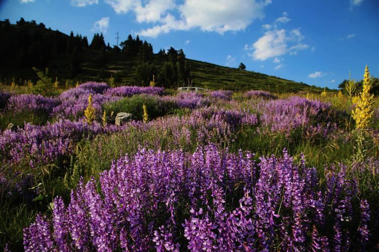 <p>Ilgaz'ın Yurduntepe zirvesinde olduklarını belirten Keleş, "İçinde bulunduğumuz alanın güzelliklerini anlatmaya ne fotoğraf makinesi ne kamera ne de sözcükler yeterli. Bulunduğumuz nokta kışın kayakçıların, karseverlerin ve kış turizminin merkezi.</p>
