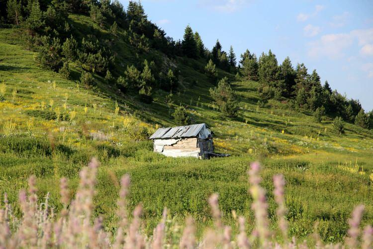 <p>Keleş, serinlemek isteyenler için de Ilgaz'ın vazgeçilmez bir yer olduğunu dile getirerek, "Şu anda Kastamonu'da sıcaklık 38 derece. Zirvedeyiz ve şu anda üşüyoruz. Bir yandan da serin serin rüzgar esiyor. </p>
