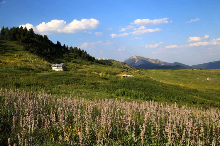 <p>Bulunduğumuz yer Batı Karadeniz'in en yüksek noktalarından biri. Buradan çok uzak noktaları görebiliyoruz. Sanki uçaktan etrafı izler gibi çevreyi görebiliyoruz." diye konuştu.</p>
