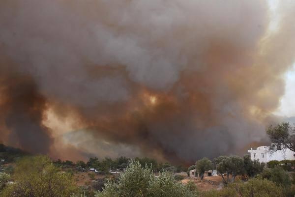 <p>Muğla'nın Bodrum ilçesinde 50 hektar makilik ve ormanlık alanın zarar gördüğü yangında, sabotaj ihtimali üzerine soruşturma başlatıldı. </p>